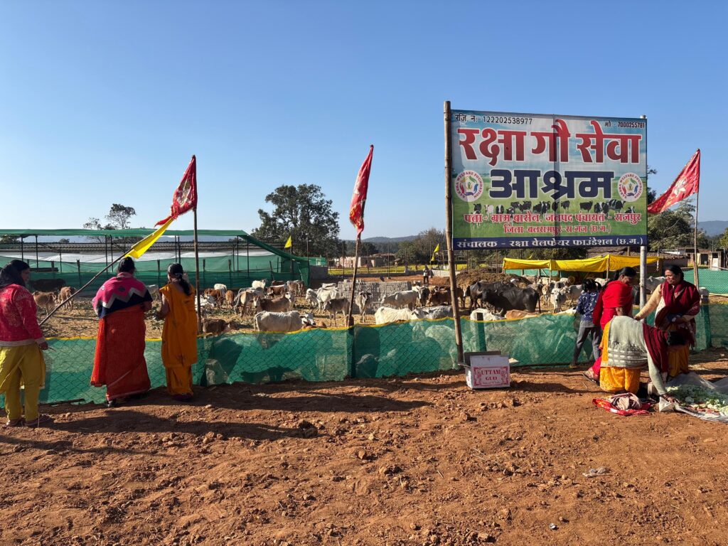 WhatsApp Image 2026-01-17 at 20.28.59