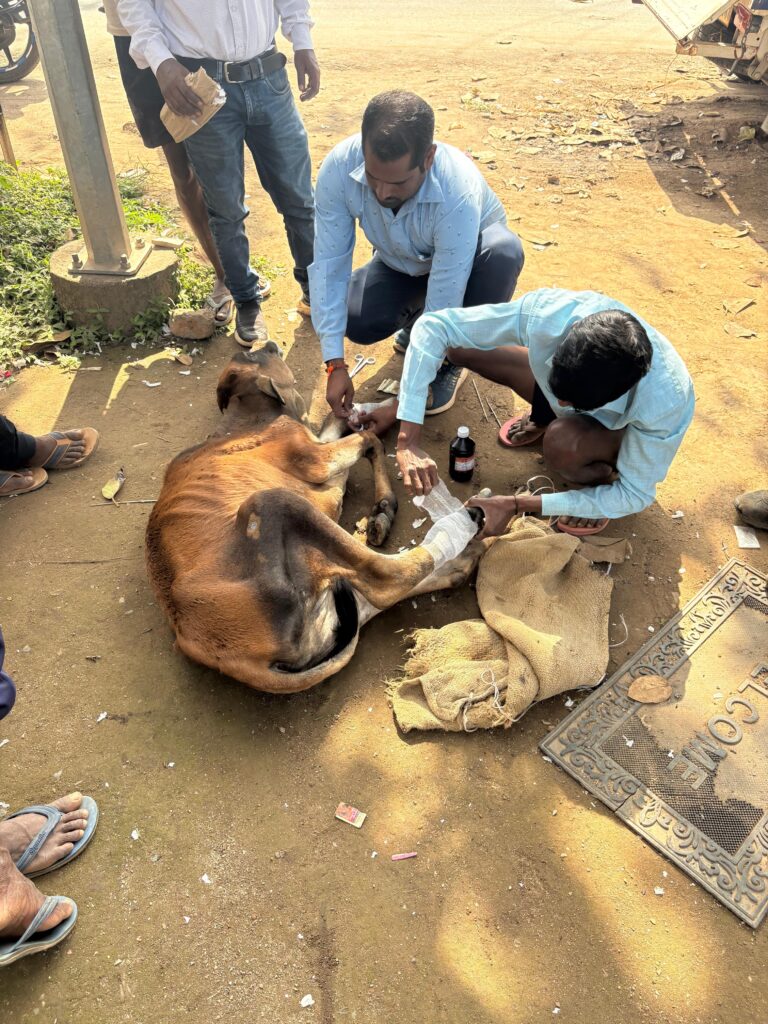 WhatsApp Image 2026-01-17 at 20.29.16