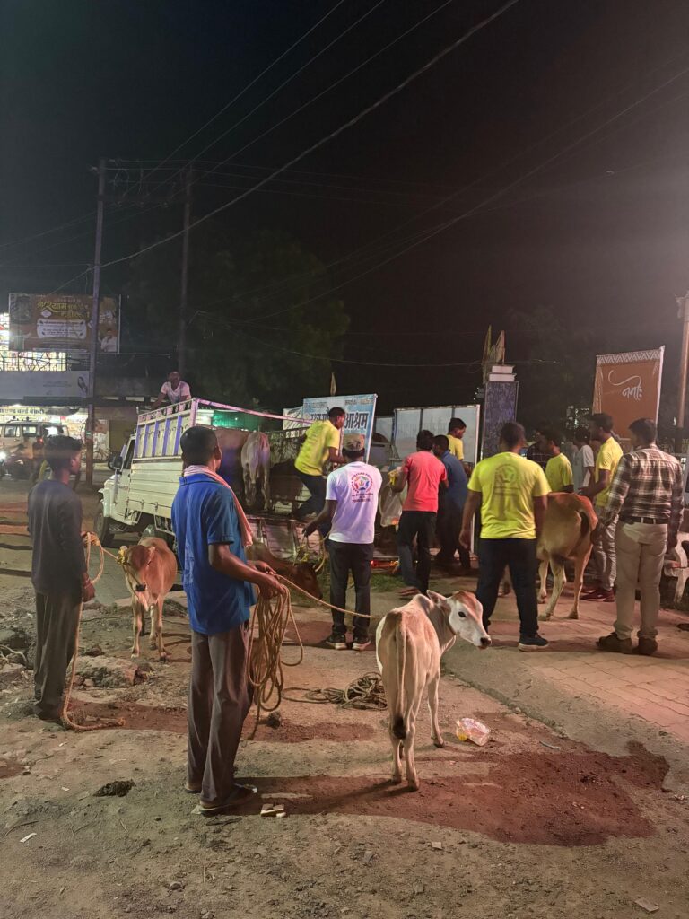 WhatsApp Image 2026-01-17 at 20.30.20