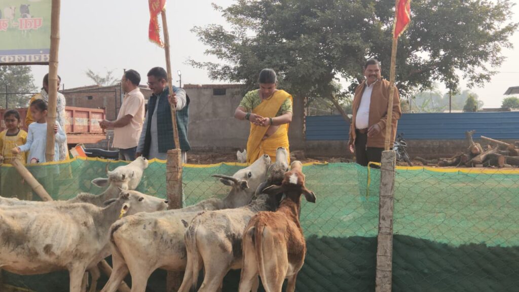 WhatsApp Image 2026-01-27 at 12.21.23