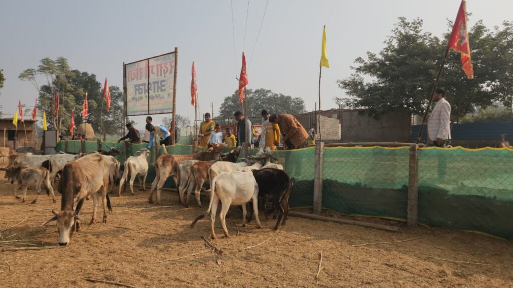 WhatsApp Image 2026-01-27 at 12.21.24 (1)